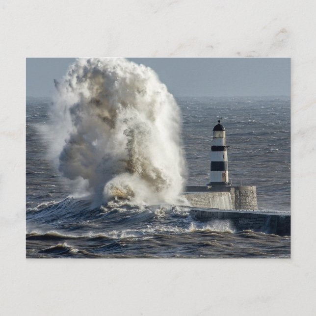 Carte Postale Les mers tempérées à Roker (Devant)