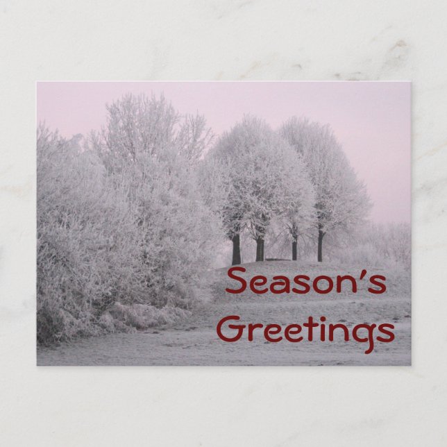 Carte Postale Les merveilles hivernales (Devant)