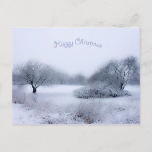 Carte Postale Les merveilles hivernales