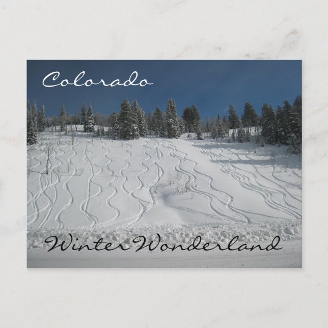Carte Postale Les merveilles hivernales du Colorado (Devant)