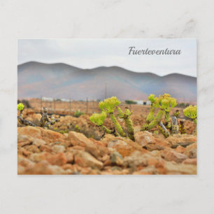 Carte Postale Les montagnes de Fuerteventura