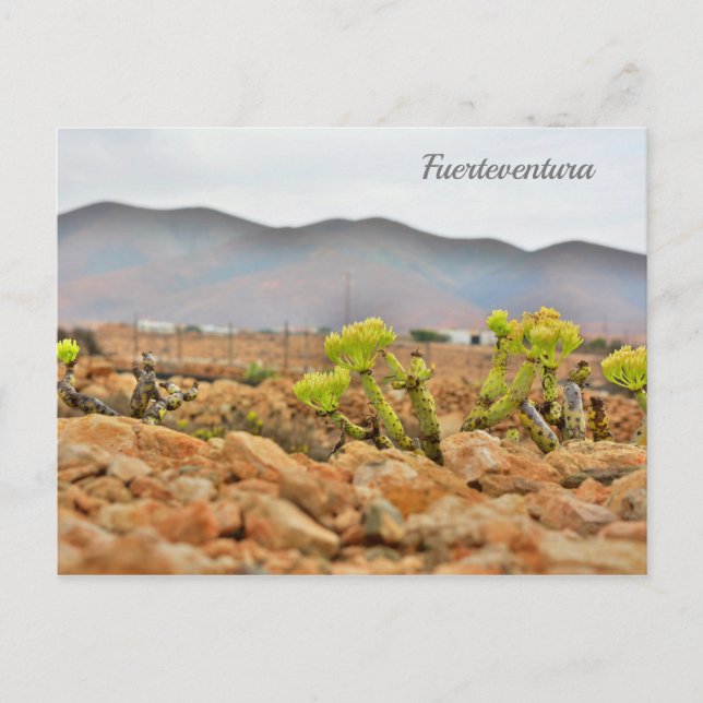 Carte Postale Les montagnes de Fuerteventura (Devant)