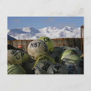 Carte Postale Les montagnes de Makushin derrière les crabates et