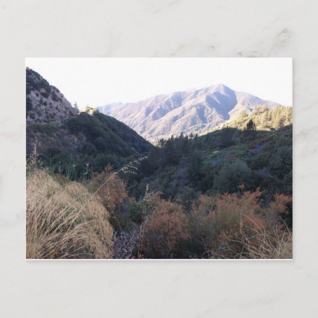 Carte Postale Les monts San Bernardino (Devant)