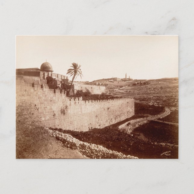 Carte Postale Les murs anciens de Jérusalem et le Mont des Olivi (Devant)