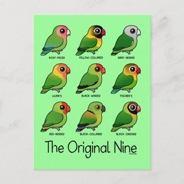 Carte Postale Les neuf originaux (Devant)