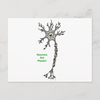 Carte Postale Les Neurons Sont Plastiques !
