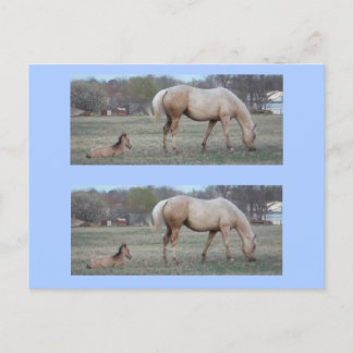 Carte Postale Les nouveaux marqueurs