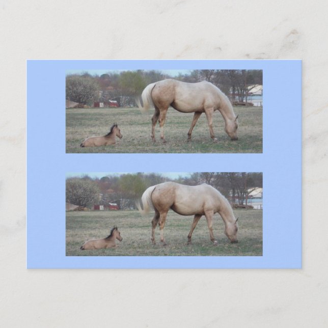 Carte Postale Les nouveaux marqueurs (Devant)