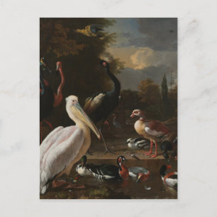 Carte Postale Les oiseaux