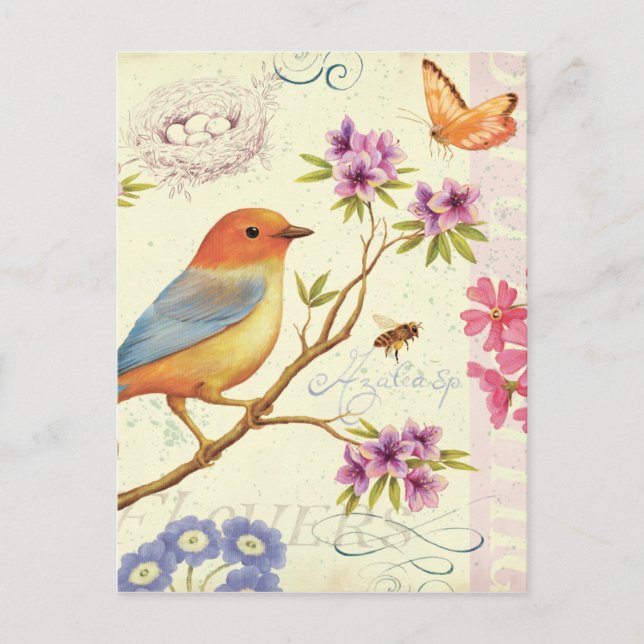 Carte Postale Les oiseaux et les abeilles (Devant)