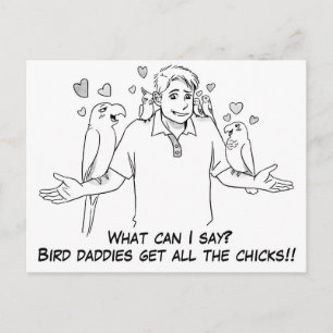 Carte Postale Les oiseaux les papas ont tous les poussins