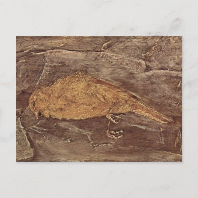 Carte Postale Les oiseaux morts (Devant)