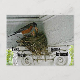 Carte Postale Les oiseaux nichent avec des citations sur la mais