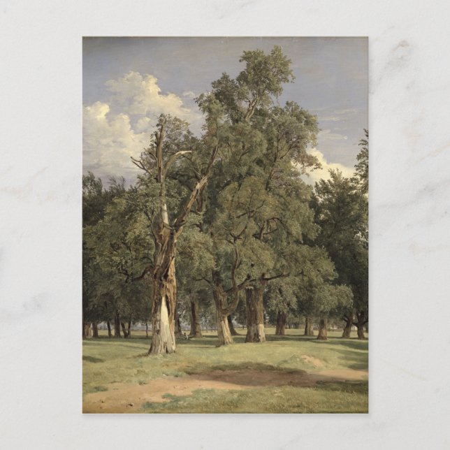 Carte Postale Les ormes dans Prater, 1831 (Devant)