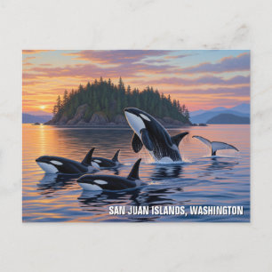Carte Postale Les orques à Washington les îles san juan