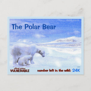 Carte Postale Les ours polaires sont en danger, lisez rapidement
