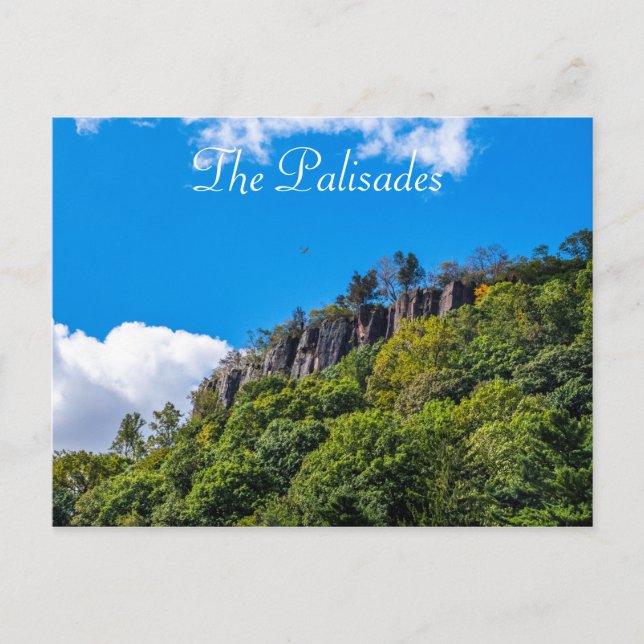 Carte Postale Les Palisades (Devant)