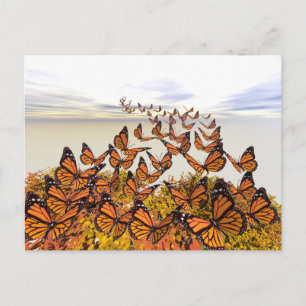 Carte Postale Les papillons Monarque se rassemblent