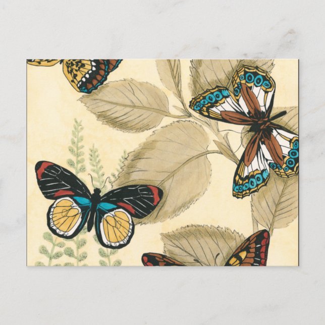 Carte Postale Les papillons qui dorment sur les Feuilles (Devant)