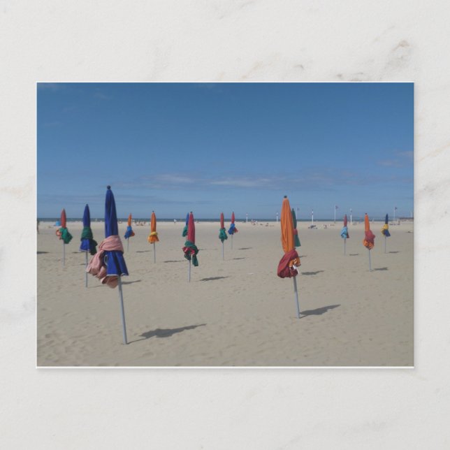 Carte Postale Les parasols de Deauville (Devant)