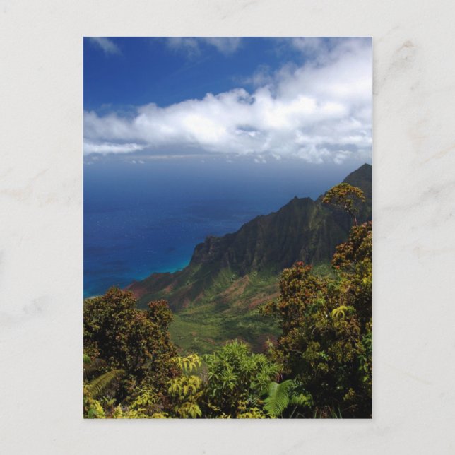 Carte Postale Les paysages sauvages de Koke’e (Devant)