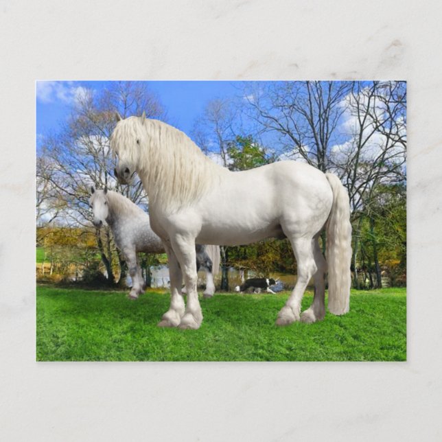 Carte Postale "Les Percherons" (Devant)