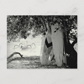 Carte Postale Les planches sous un arbre