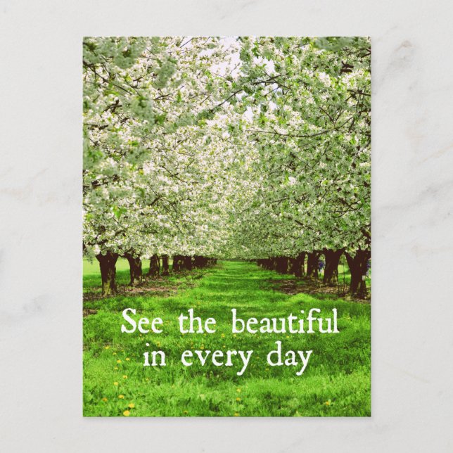 Carte Postale Les pommiers fleurissent avec une citation inspira (Devant)