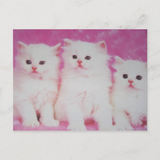 Carte Postale Les prochains grands modèles américains