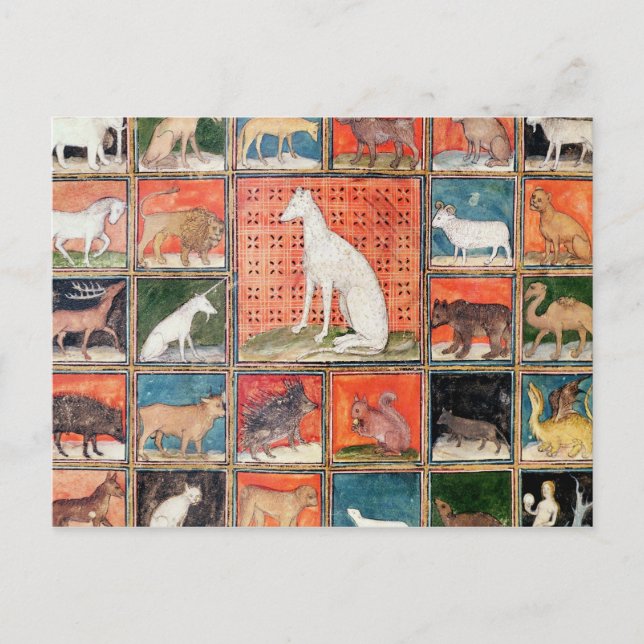 Carte Postale Les propriétés des bêtes : Les mammifères (Devant)