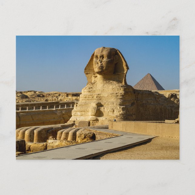Carte Postale Les Pyramides de Gizeh Post (Devant)
