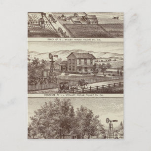 Carte Postale Les ranchs du peuplier