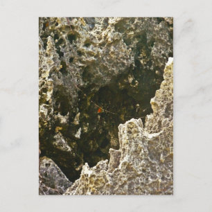 Carte Postale Les Rochers De L'Enfer