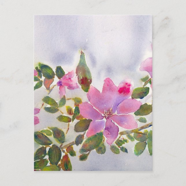 Carte Postale Les Roses de Nana (Devant)