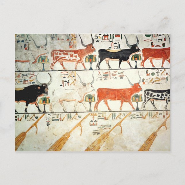 Carte Postale Les sept vaches célestes et le taureau sacré (Devant)