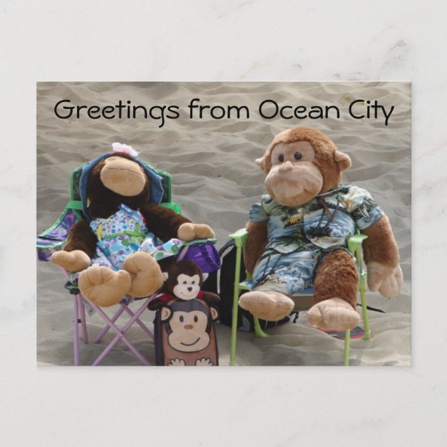 Carte Postale Les singes de la plage (Devant)