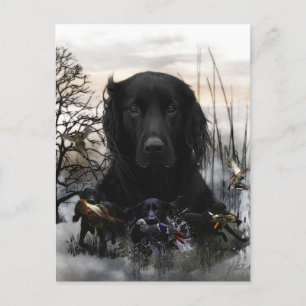 Carte Postale Les tribus noires en or
