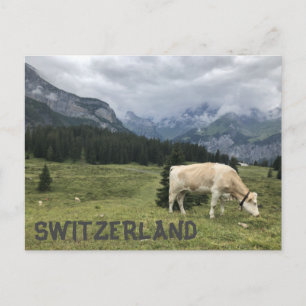 Carte Postale Les vaches suisses sont des vaches heureuses