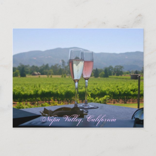Carte Postale Les vignobles de la vallée de Napa (Devant)