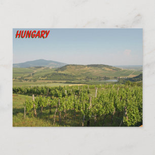 Carte Postale Les vignobles de Tokaj, Hongrie