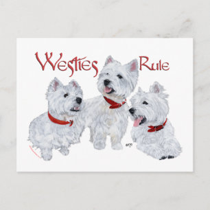 Carte Postale Les Westies règnent !