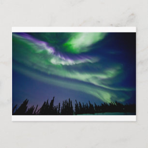 Carte Postale L'escalier d'Aurora Borealis Austin du Ciel