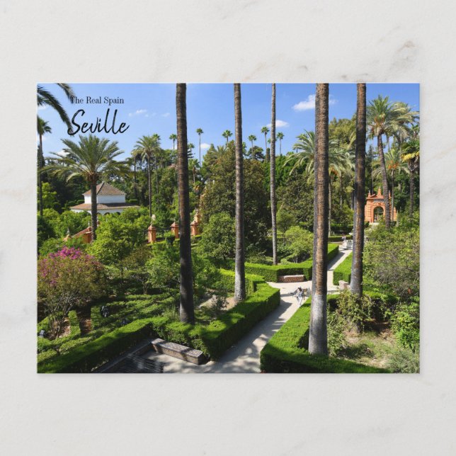 Carte Postale L'Espagne réelle - Séville (Devant)