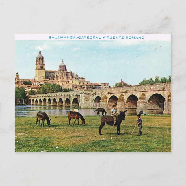 Carte Postale L'Espagne vintage, Salamanque, cathédrale (Devant)