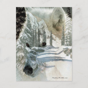 Carte Postale L'Esprit Du Sauvage