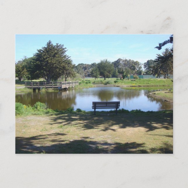 Carte Postale L'Étang À Crab Cove (Devant)