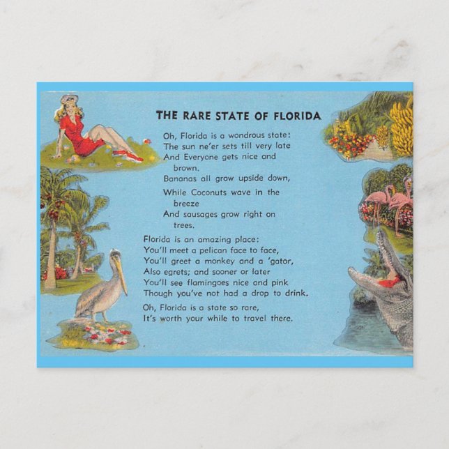 Carte Postale L'État rare de Floride (Devant)