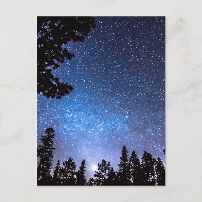 Carte Postale L'Étoile Forestière Attend Un Plaisir D'Astronomie (Devant)