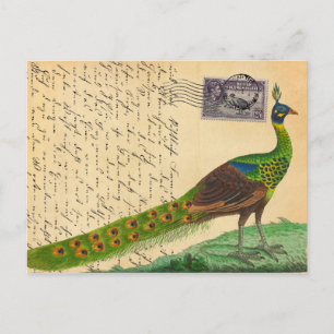Carte Postale Lettre paon vintage avec timbre et cachet postal